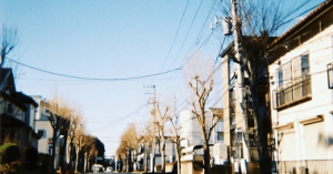 春のニー株紹介🌸