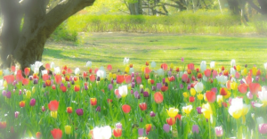 恋愛がうまくいかないのは “相手” じゃなくて◯◯のせい