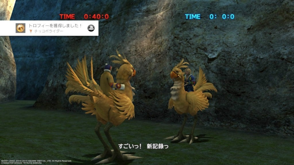 【FF10】とれとれチョコボ0秒　雷避け200回など代行します　PS4・Switch版対応