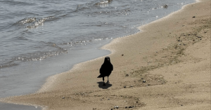 人の期待に応えない