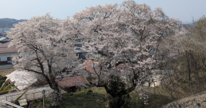 寝る前5分間日記　2026/03/23〜2026/03/29