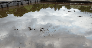 完璧を目指さない