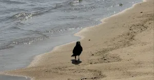 人の期待に応えない